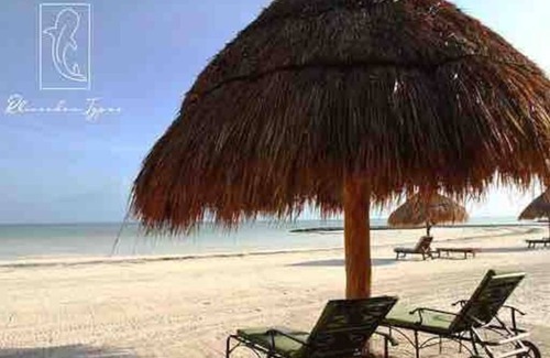 Isla Holbox Cabin | Pez Robalo Summary: N