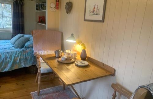 Liskeard Apartment | Phoenix Farm Shepherds Hut