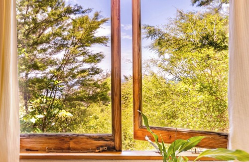 Collingwood Cabin | Pi Honi Cabin - Ao Marama Retreat - Stunning Bush setting and Ocean Views