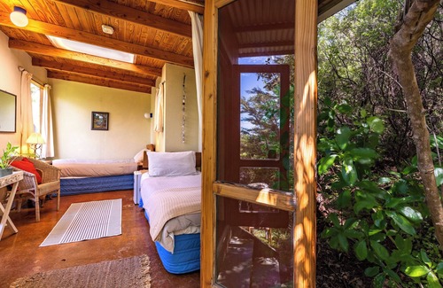 Collingwood Cabin | Pi Honi Cabin - Ao Marama Retreat - Stunning Bush setting and Ocean Views