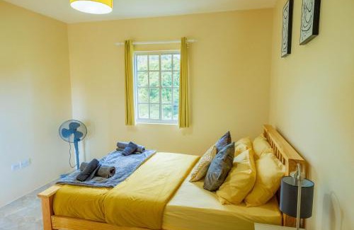 Kingstown House | Pierocks Highgate Entire house Free Parking and WI-FI