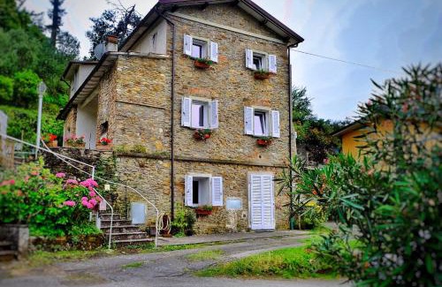 Pietrasanta House | Pietrasanta