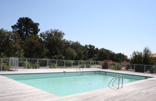 Pinarellu Apartment | Pinarello Appt standing 6/8 pers, sea view, beach 500 m and discovery of Corsican wines