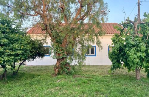 Odemira House | Pine 3 Inn, holiday home, activities and more