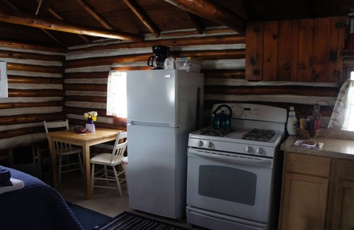 Grawn Cabin | Pine · Ellis Lake Resort - Pine Log Cabin-Interlochen/Traverse City