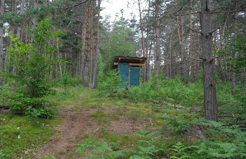 Lowville Cabin | Pine Marten Cabin At The King's Pines
