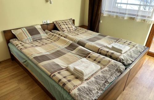 Shiligarnika Apartment | Pine Tree one bedroom apartment