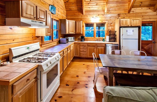Piney Mountain Cabin | Piney Cabin: Mountain Views + Dog Friendly