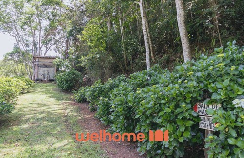 Santo Antonio do Pinhal House | Pinhal - Charme e aconchego em meio à natureza