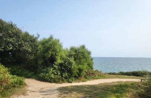 Beg-Meil Apartment | Plage des Dunes - Grand Studio ouvert avec 1 mezzanine et 1 alcôve