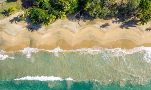 Black Rock Villa | Plantation Beach Villas
