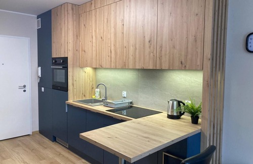 gmina Czarnozyły Apartment | PLATON RESIDENCE APARTMENTS
