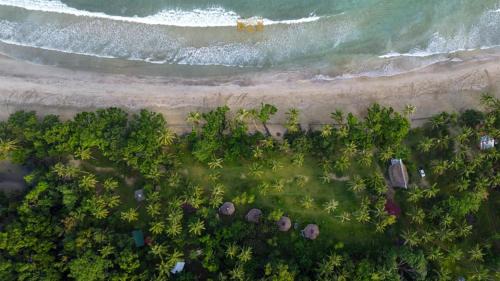 Puerto Princesa Bed & Breakfast | Playa Paraiso Nagtabon Beach