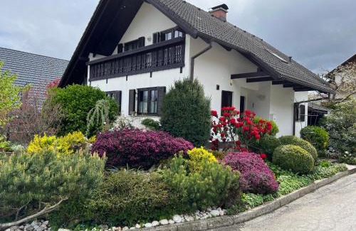 Zasip Apartment | Pleasant Apartments