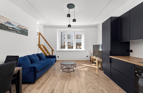 Pradnik Bialy Apartment | Pleszowska Urban Elegance Apartment #1A
