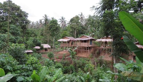 Tol House | PNG Family Empowerment