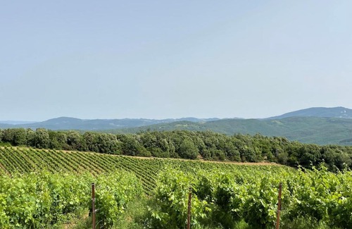 Massa Marittima Apartment | Podere Aurora