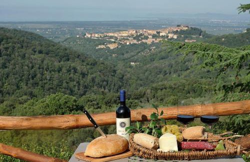 Castagneto Carducci Apartment | Podere Bagnoli