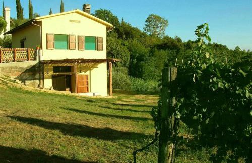 Montopoli in Val d'Arno Apartment | Podere Mazzana
