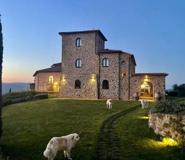 Seggiano Apartment | Podere Montale Winery