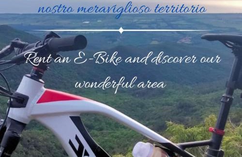 Bibbona Bed & Breakfast | Podere San Filippo B&B-Apartment-Pet Friendly-Rent Bike and Bike Friendly