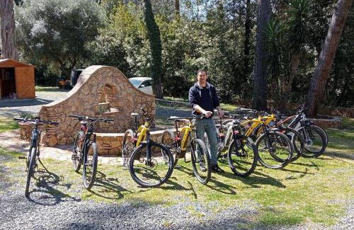 Bibbona Bed & Breakfast | Podere San Filippo B&B-Apartment-Pet Friendly-Rent Bike and Bike Friendly