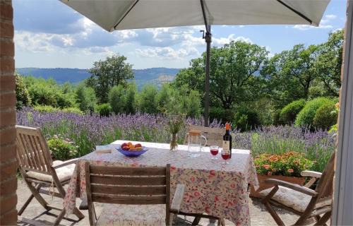 Roccalbegna Apartment | Podere Sant'Angelo