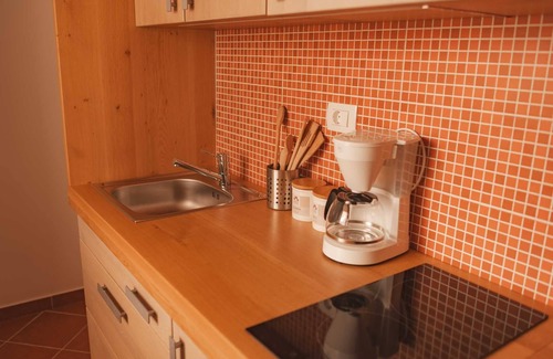 Cerklje ob Krki Apartment | PODSREDA CASTLE APP 2 ROMANSKI