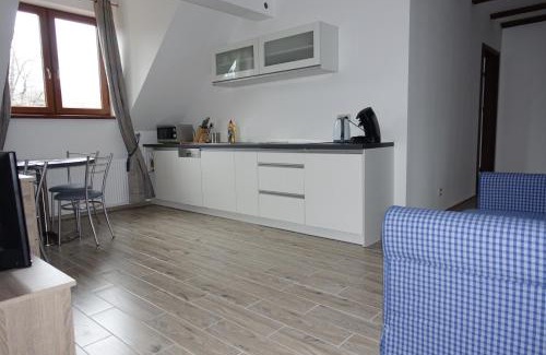 Stronie Slaskie Apartment | Poduszka Apartamenty Zielony Dom