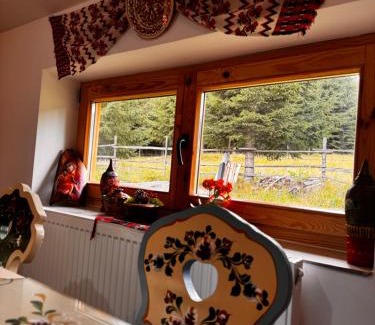 Neagra Sarului Cabin | Poiana cu Sinziene