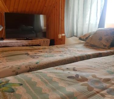 Zab House | Pokoje u Bobików