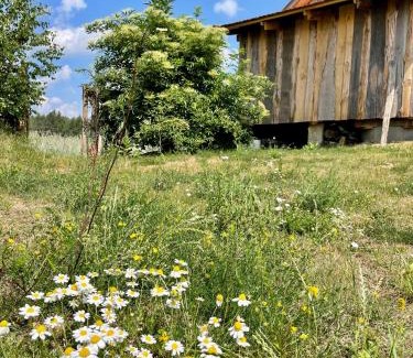 gmina Jasionowka House | POLNA CHATA
