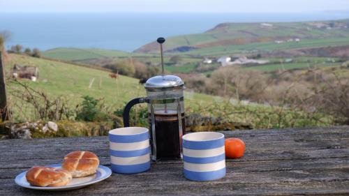 Boscastle House | Polrunny Farm Elderberry Cottage with sea view