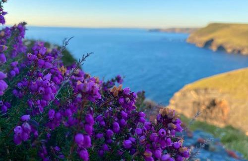 Boscastle Apartment | Polrunny Farm Sloe Cottage with a sea view