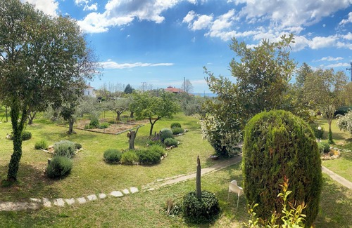 Thermaikos Apartment | Pond and Pines - Seaside apartments - 1st floor