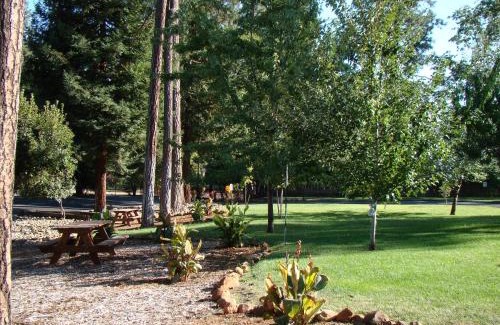 Paradise Hotel | Ponderosa Gardens Motel