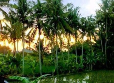 Sengkidu House | Pondok Diana Arta
