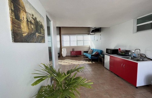 Zarzal Condo | Poolside Penthouse on Natural Caribbean Beach