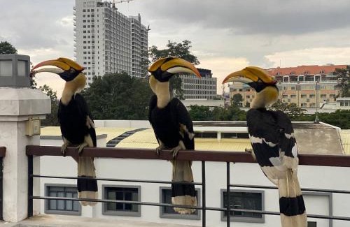 Daun Penh Hostel | Pooltop Phnom Penh