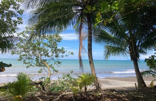 Nuqui Other | Popochos Beach Eco Lodge