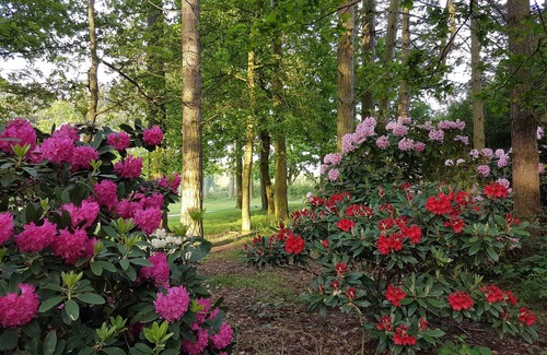 Kenwick Cabin | Poppy Lodge, Kenwick Park Woods, near Louth, Lincolnshire