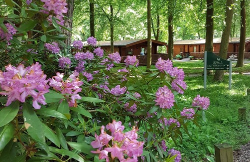 Kenwick Cabin | Poppy Lodge, Kenwick Park Woods, near Louth, Lincolnshire