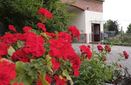 Coswig Apartment | Poppy vacation apartment
