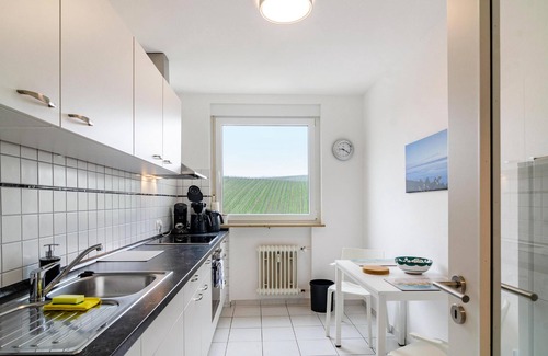 Meersburg Condo | Popular apartment */DTV with lake & Alpenblick and south balcony