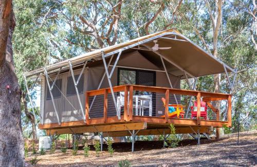 One Mile Resort | Port Stephens Koala Sanctuary