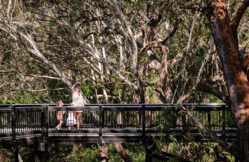 One Mile Resort | Port Stephens Koala Sanctuary