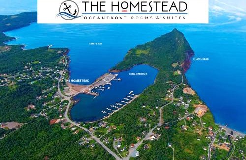 Norman's Cove-Long Cove House | Port suite @ The Homestead Oceanfront