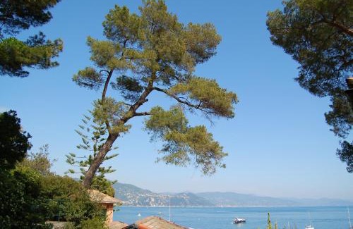 Pedale Apartment | Portofino Seaview Apartment, 50 meters from the beach, free parking, air conditioning