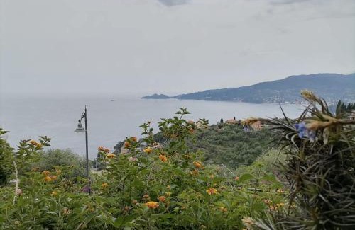 Zoagli Bed & Breakfast | portofino view