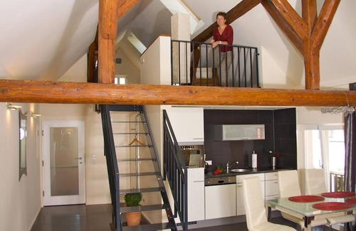 Billigheim-Ingenheim Apartment | Portugieserwohnung * - Winzerhof at the stone bite